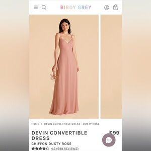 HEMMED NWT Birdy Grey Devin Chiffon in Dusty Rose